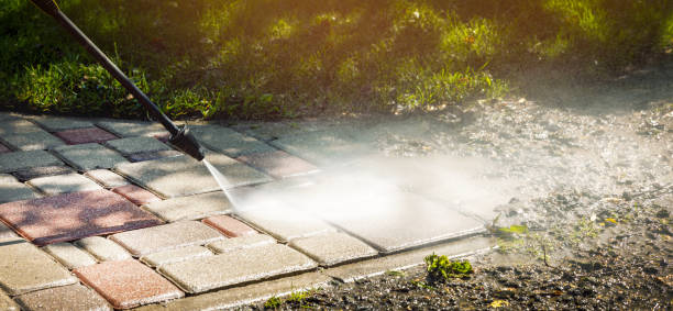 Best Soft Washing for Delicate Surfaces in Riverton, WY